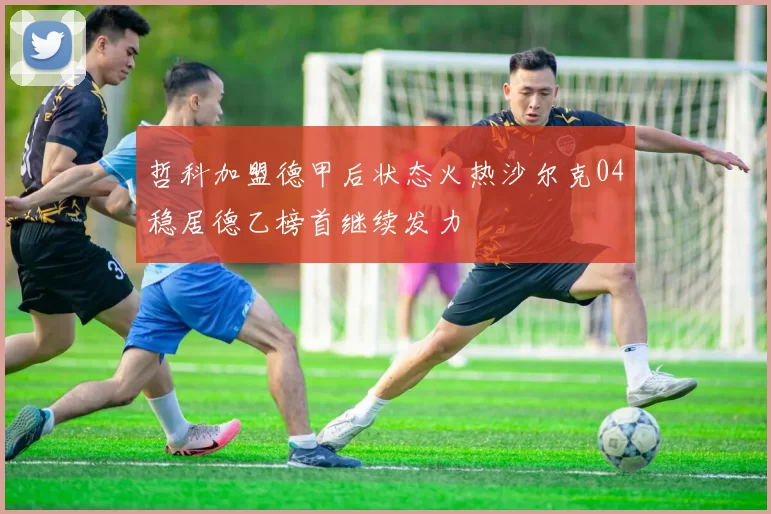 哲科加盟德甲后状态火热沙尔克04稳居德乙榜首继续发力